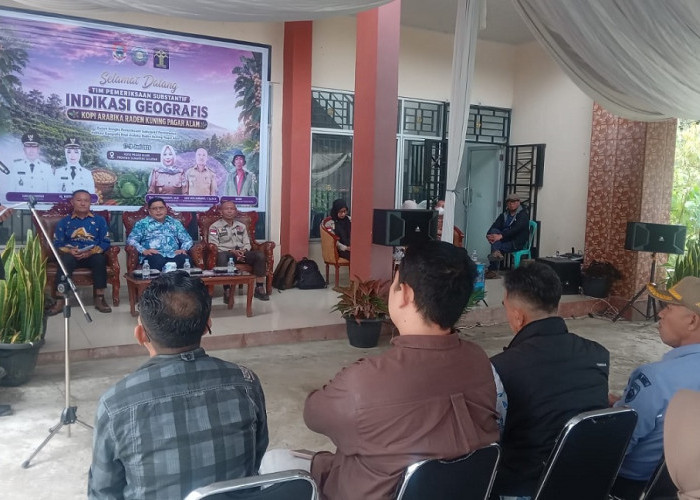 Kopi Arabika Raden Kuning Pagar Alam Segera Kantongi Indikasi Geografis