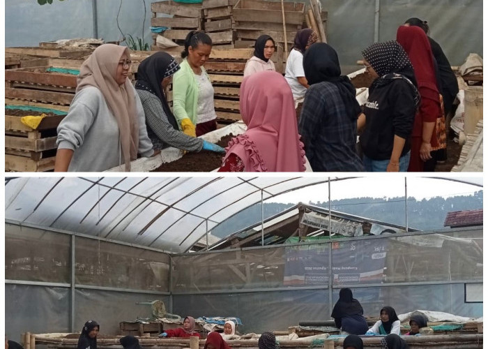 Mengubah Limbah Jadi Peluang: Nasabah PNM Mekaar di Bandung Barat Tumbuhkan Usaha Bersama BRI