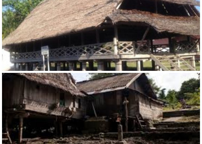Makna dan Sejarah Rumah Baileo sebagai Pusat Tradisi dan Identitas Maluku