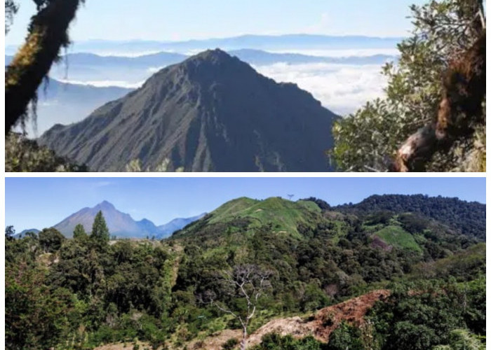 Gunung Geureudong: Saksi Bisu Sejarah Alam, Mitos, dan Tradisi Masyarakat Aceh