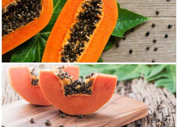 Jangan Dibuang! Ini Segudang Khasiat Biji Pepaya yang Jarang Diketahui