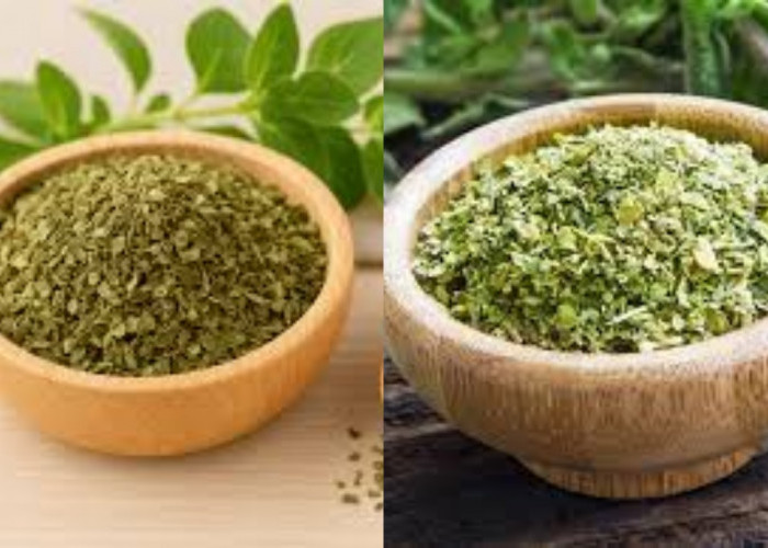 Wajib Dicoba Inilah 6 Manfaat Teh Oregano Untuk Kesehatann Yang Luar Biasa!
