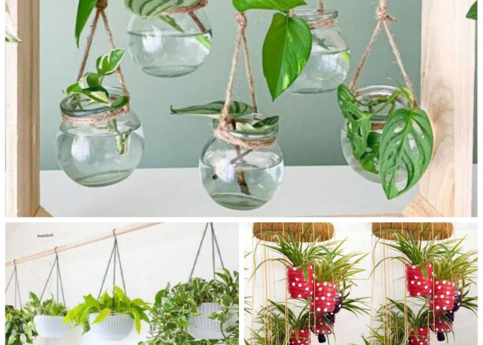6 Tanaman Hias Hidroponik Estetik Paling Dicari 2026, Cocok untuk Ruangan Minimalis dan Anti Ribet!