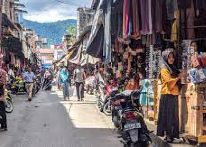 Mau Tahu 8 Wacana Provinsi Baru di Pulau Sumatera? Cek Disini, Salahsatunya Pecahan Sumsel