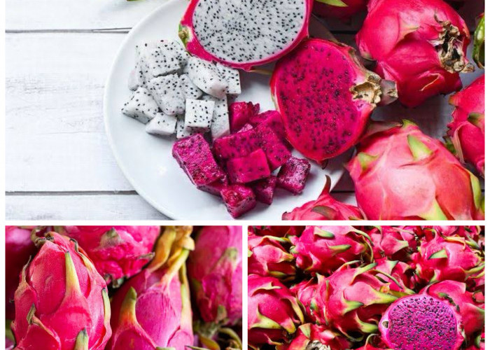 Manfaat Buah Naga untuk Kesehatan: Rahasia Nutrisi di Balik Warnanya yang Eksotis!