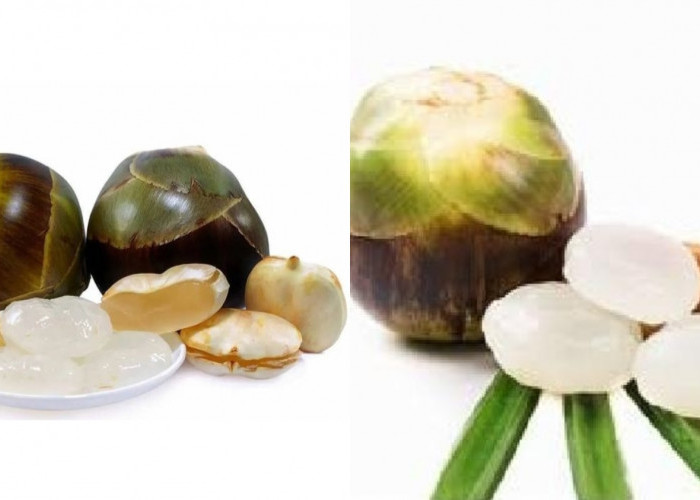 Menyegarkan dan Mencegah Dehidrasi Teryata Ini Guys Manfaat Dari Buah Lontar Yang Jarang Diketahui! 