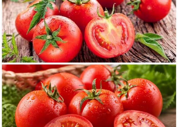 Rahasia Sehat dari Buah Tomat, Si Merah Kaya Nutrisi yang Wajib Dikonsumsi!