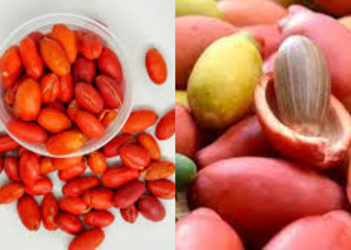 Simak! 10 Manfaat Kulit Melinjo Untuk Kesehatan Yang Jarang Diketahui