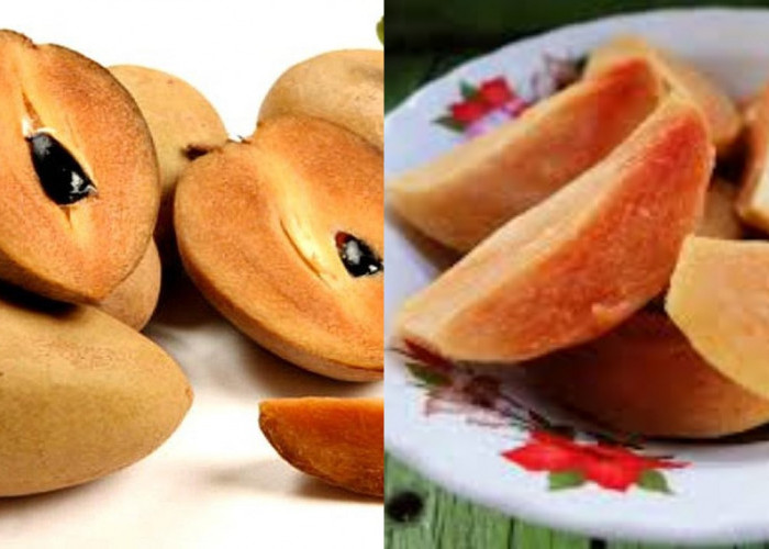 Buah Sawo dan Manfaatnya: Pilihan Sehat untuk Konsumsi Harian!