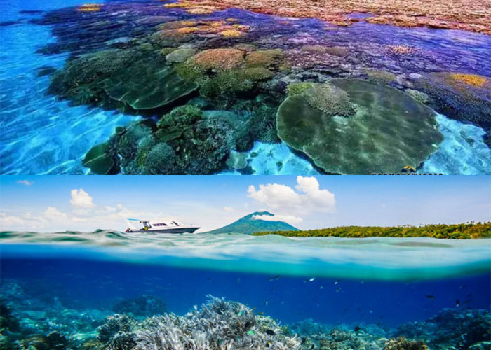Surga Bawah Laut Manado! 6 Spot Diving Terbaik 2026 yang Kini Menjadi Pusat Perhatian Dunia!