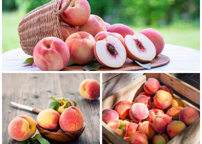 Manfaat Buah Persik bagi Kesehatan: Rahasia Kulit Cantik, Jantung Sehat, dan Tubuh Bugar dari Alam!