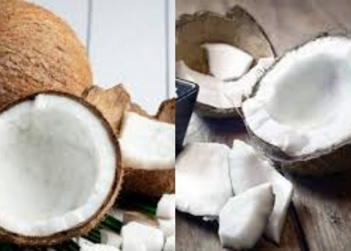 Inilah 8 Manfaat Konsumsi Daging Buah Kelapa untuk Kesehatan!