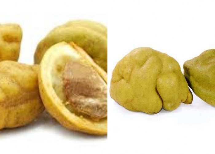 Buah Namnam: Obat Tradisional Alami Untuk Gula Darah dan Tekanan Tinggi