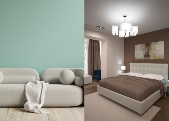 Inspirasi Warna Cat Tahun 2026, Pilihan Rona Hangat dan Netral yang Menenangkan!