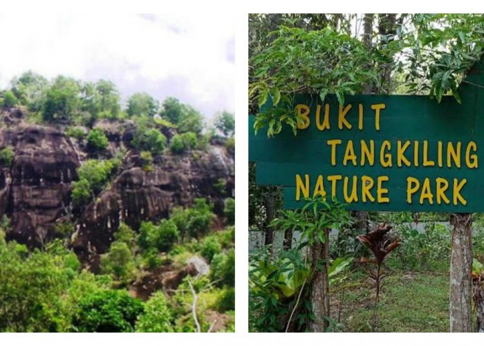 Legenda Bukit Tangkiling: Tragedi Cinta yang Menjadi Peringatan
