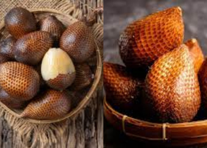 Melancarkan Pencernaan Inilah Manfaat Salak Pondoh Yang Harus Kalian Tahu!