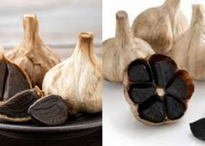 Teryata Ini Guys Manfaat Bawang Hitam Untuk Kesehatan Tubuh Yang Perlu Kalian Ketahui!