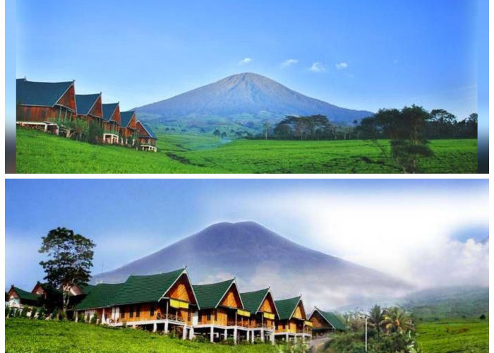 Menelusuri Sejarah Kota Pagaralam: Jejak Peradaban Kuno di Kaki Gunung Dempo Kota Perjuangan!