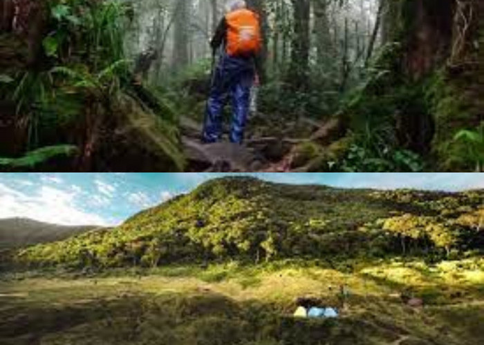 Nikmati Liburan Imlek dengan Mendaki ke Gunung Gede Pangrango di Jawa Barat 