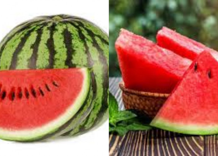 Kaya Nutrisi, Inilah Khasiat Buah Semangka Untuk Kesehatan Tubuh Kamu Harus Tahu! 