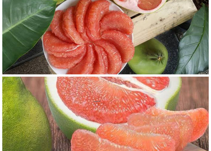 Rahasia Sehat Alami: Segudang Manfaat Jeruk Bali untuk Tubuh yang Jarang Diketahui!