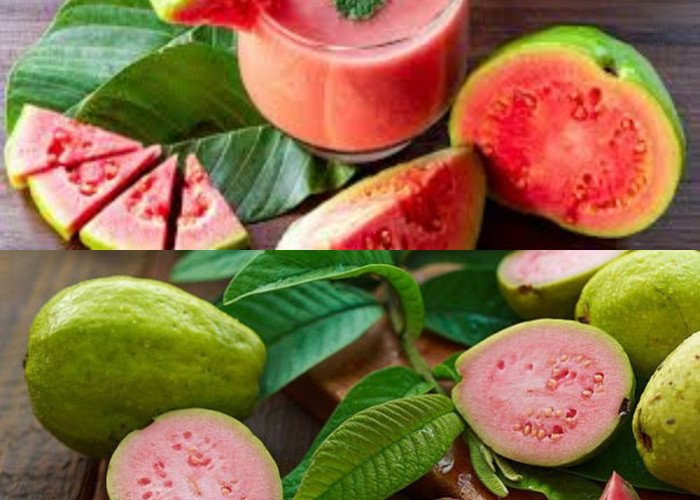 Manfaat Jambu Biji bagi Kesehatan Tubuh!