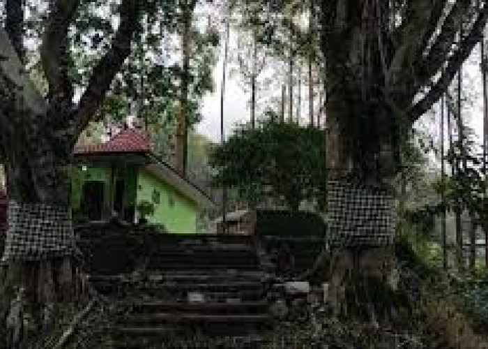 Sejarah Gunung Kawi, Satu dari 3 Mitosnya Pohon Dewa Pembawa HOKI, Netizen Percaya Ngak Ya?