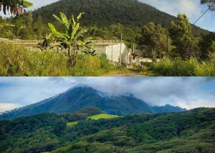 Menelusuri Asal Usul dan Misteri Gunung Lima di Kalimantan