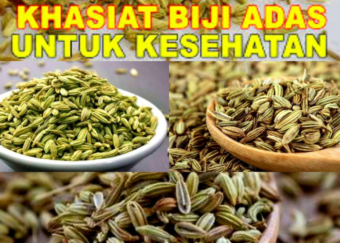 10 Khasiat Luar Biasa dari Biji Adas Untuk Kesehatan