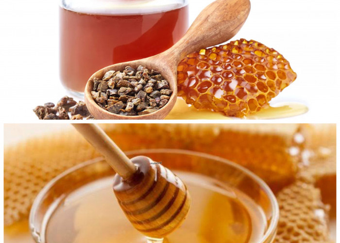 Propolis Lebah: Rahasia Alami untuk Meningkatkan Daya Tahan Tubuh!