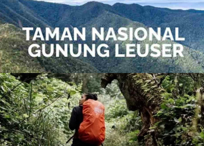 Pendaki Hilang di Gunung Leuser? Ini Kisah Mistisnya!