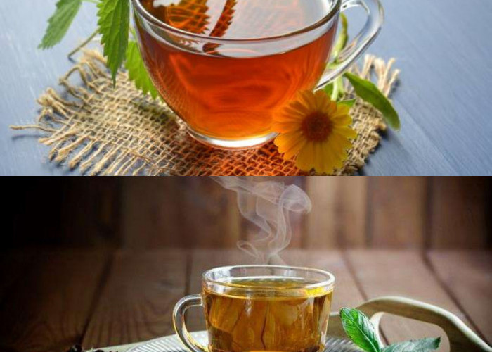 Teh Tawar, Pelajari Beragam Manfaatnya untuk Kesehatan!