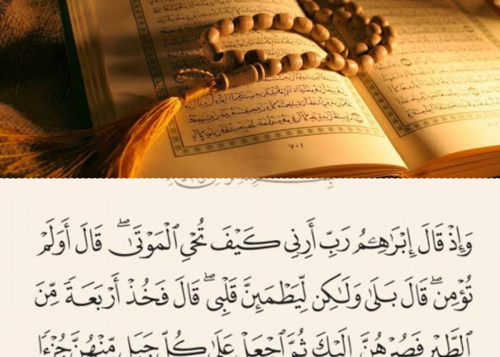 Meraih Kebahagiaan Spiritual, 3 Surah Al-Quran untuk Memperdalam Koneksi dengan Allah di Bulan Ramadan