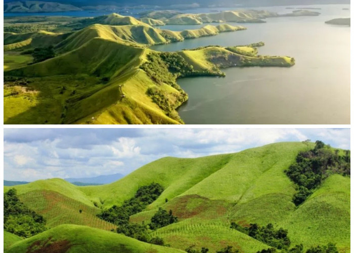 Sejarah Bukit Teletubbies: Dari Padang Rumput Alami hingga Ikon Wisata Populer Indonesia!