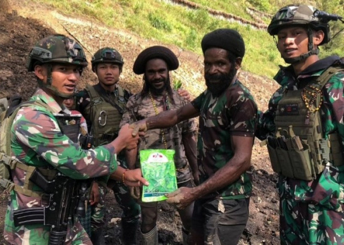 Bagikan Bibit Sayuran Disela Opspamtas, Begini  Bercocok Tanam Petani di Papua