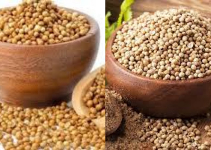 Selain Harum, Inilah 8 Manfaat Ketumbar yang Perlu Diketahui!