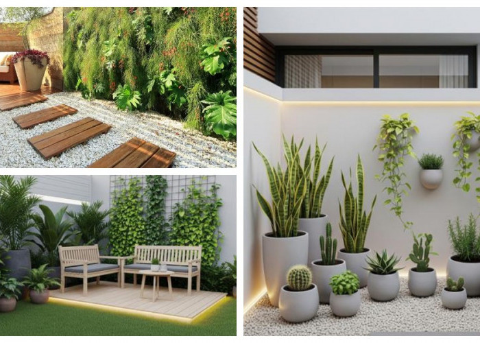 Taman Minimalis di Belakang Rumah: 7 Ide Asri dan Nyaman dengan Modal Rp 3 Juta di 2025