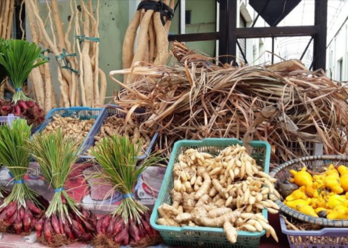 Bagaimana Pengobatan Tradisional Suku Ngaju Menyembuhkan Berbagai Penyakit? Ini Penjelasannya!