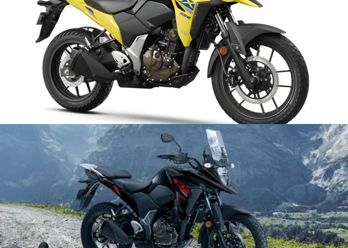 Honda CB150X Punya Rival Baru, Suzuki V-Strom 250SX 2026 Tawarkan Performa Lebih Besar