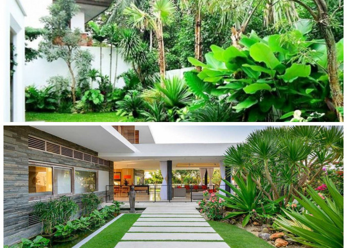 Rahasia Taman Bergaya Bali: Sentuhan Tropis untuk Hunian Lebih Mewah dan Sejuk