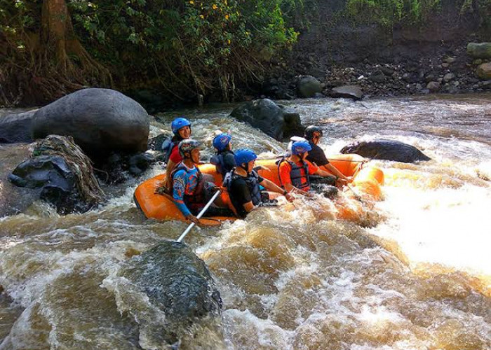 Uji Adrenalin di Alam, Menjelajahi Sungai Kaliwatu dengan Bermain Arung Jeram yang Bikin Ketagihan!