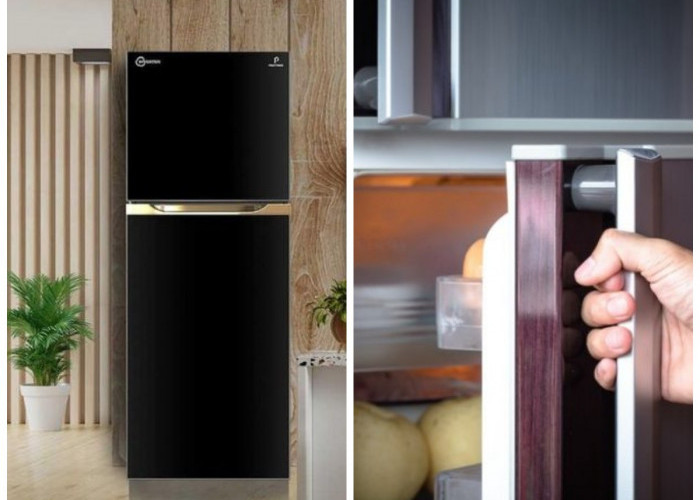 Review Lengkap Kulkas Polytron: Kelebihan, Kekurangan, dan Pertimbangan Sebelum Membeli