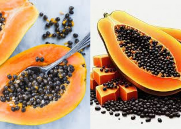 Mengatasi Parasit Usus Teryata Ini Guys Manfaat Dari Biji Pepaya Untuk Kesehatan!