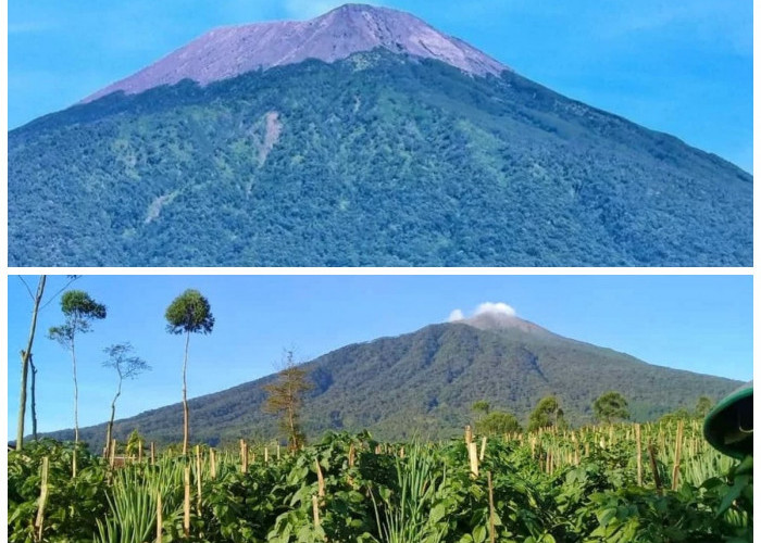 Eksplorasi Gunung Slamet: Lima Hal Menarik yang Perlu Kamu Ketahui