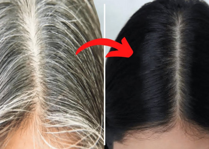 Pilih 4 Merk Shampo Ini Untuk Hilangkan Uban Rambut Yang Sangat Menggangu Penampilanmu!
