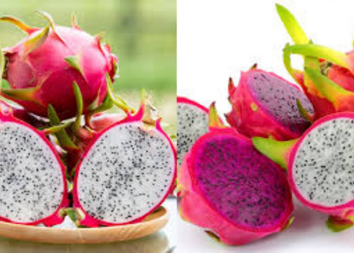 Inilah Manfaat Buah Naga Putih Bagi Kesehatan Tubuh Yang Luar Biasa!