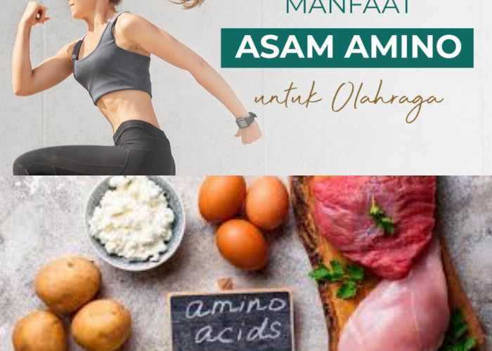 Penasaran dengan Asam Amino? Yuk, Temukan 5 Manfaatnya yang Mengejutkan!