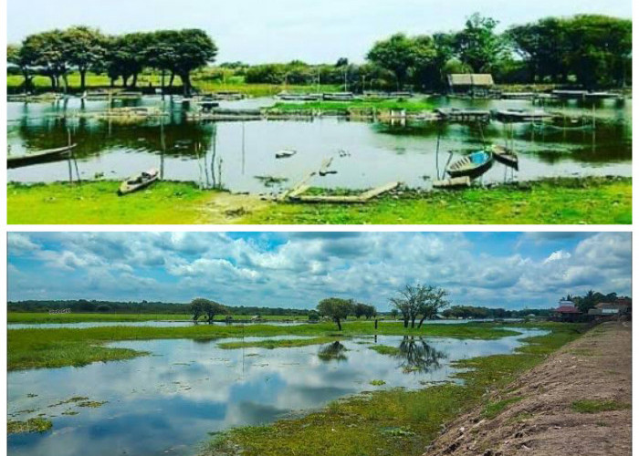 Misteri dan Sejarah Danau Segayam Gelumbang: Warisan Alam yang Tersimpan di Tengah Sumsel!