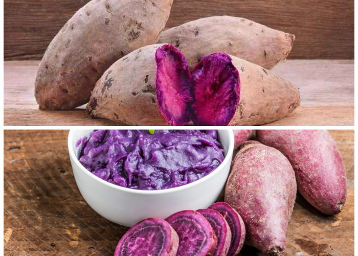 Rahasia Sehat dari Alam: 8 Khasiat Ubi Ungu dan Olahan Praktisnya