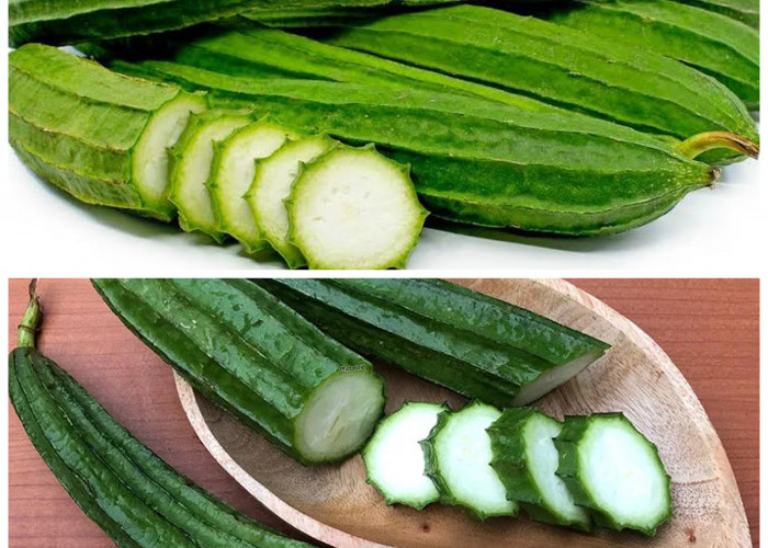 Rahasia Sehat dari Oyong: Sayur Sederhana dengan Manfaat Luar Biasa untuk Tubuh!